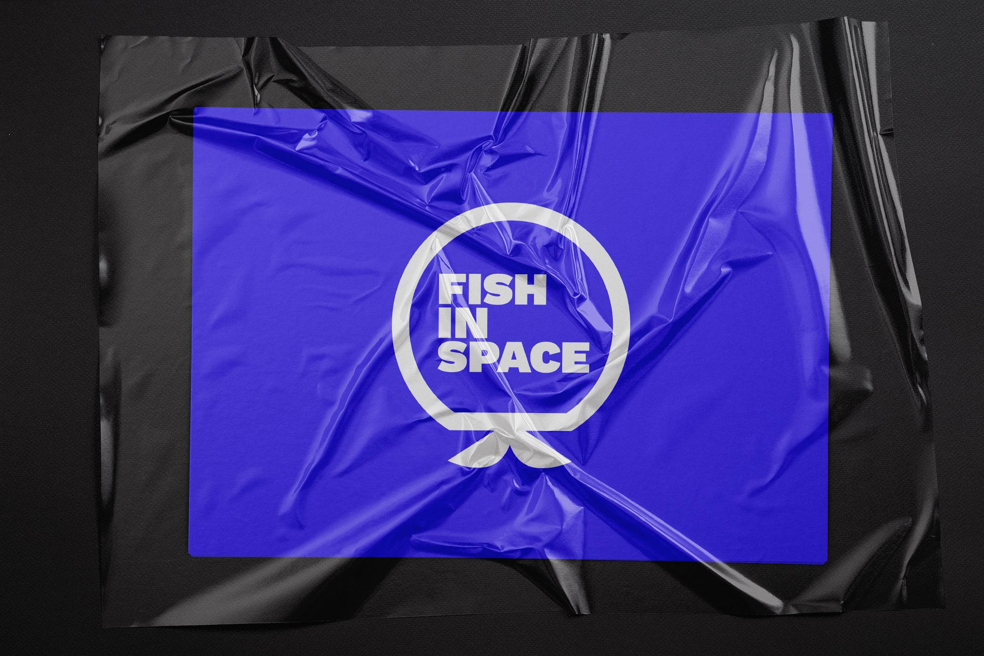 Fish in Space logo design